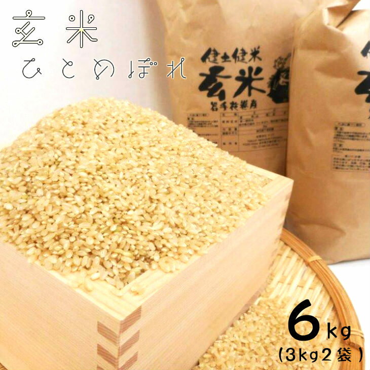 岩手県花巻産「健土健米」玄米(3kg×2袋）《令和4年産》新米