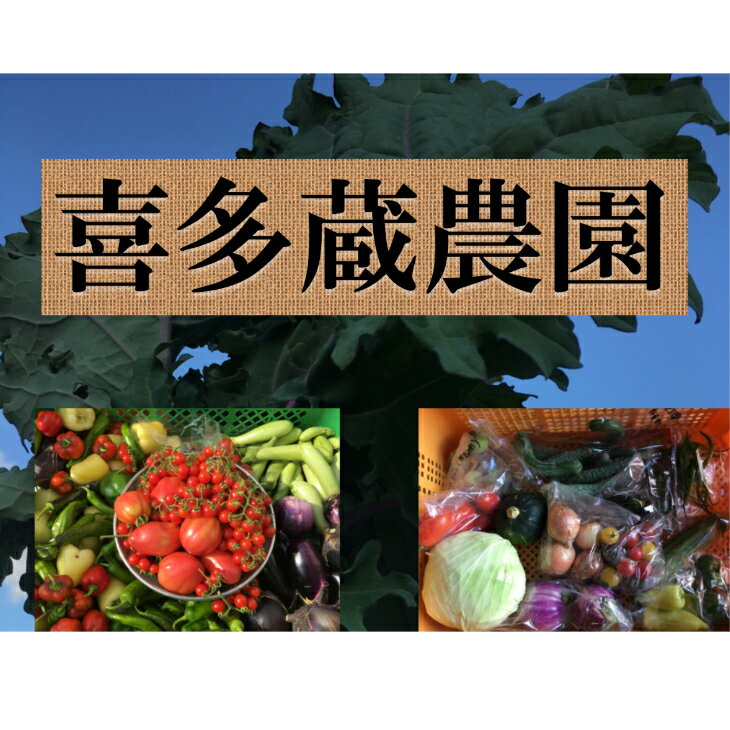 野菜 ふるさと納税の返礼品一覧 人気順 21年 ふるさと納税ガイド