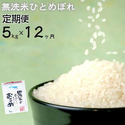 新米 ひとめぼれ 2023年産 【定期便 12ヶ月】無洗米 5kg 白米 令和5年産 ふるさと納税 米 定期便 減農薬栽培 農家直送 岩手県 花巻産