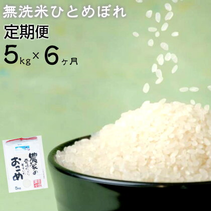 新米 ひとめぼれ 2023年産 【定期便 6ヶ月】 無洗米 5kg ふるさと納税 米 定期便 白米 減農薬栽培 農家直送 岩手県 花巻産 令和5年産