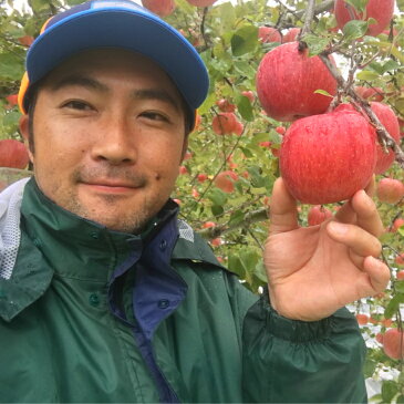 【ふるさと納税】 《先行予約》【訳あり】味の良い岩手のサンふじ!花巻産 りんご 5kg