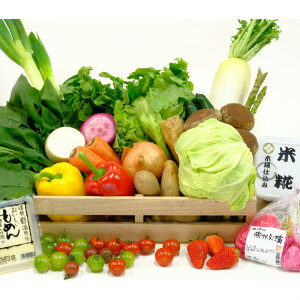 【ふるさと納税】厳選米とイーハトーヴ野菜セット 米 野菜 詰合せ