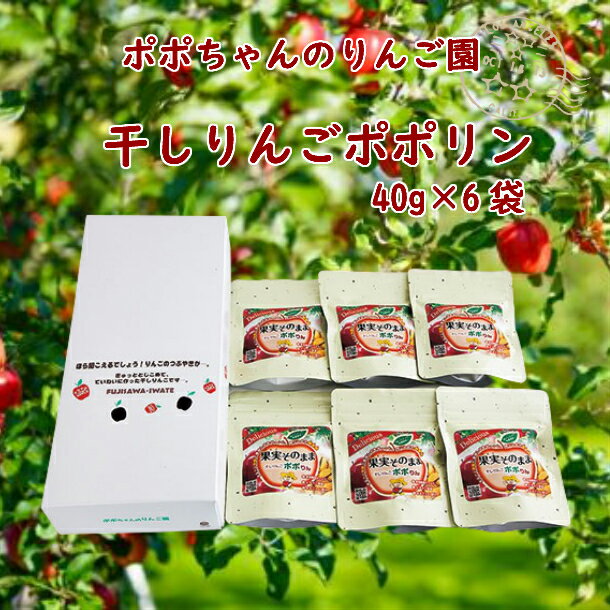 1位! 口コミ数「0件」評価「0」干しりんごポポりん 40g × 6袋入