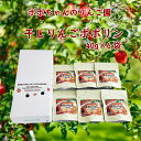 【ふるさと納税】干しりんごポポりん 40g × 6袋入(4)