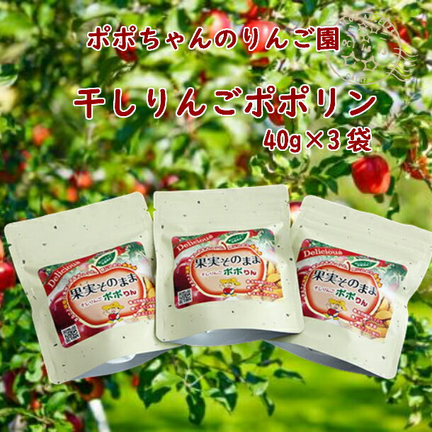 【ふるさと納税】干しりんごポポりん 40g × 3袋入 りんご フルーツ お菓子