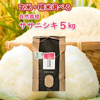 自然栽培米ササニシキ5kg 米 ササニシキ