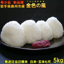【ふるさと納税】新登場の高級米 岩手県奥州市産 金色の風 白...