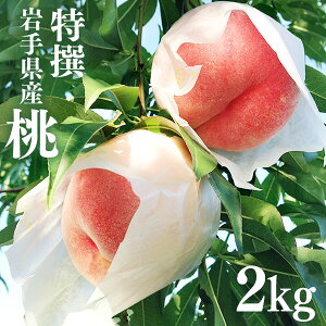 【ふるさと納税】ふじむら農園の特撰白桃2kg