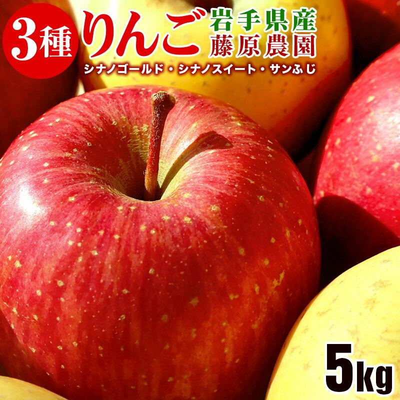 【ふるさと納税】藤原農園のりんご3種の詰め合わせ『シナノスイート・シナノゴールド・サンふじ』5kg