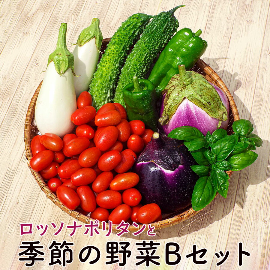 期間限定!数量限定!高糖度ミニトマト『ロッソナポリタン』と季節のお野菜Bセット