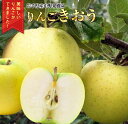 【ふるさと納税】中野果樹園のきおう5kg(16〜20個入り)(4)