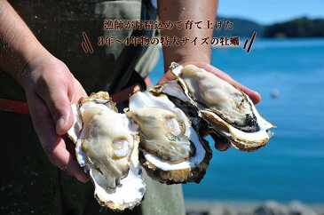 【ふるさと納税】特大牡蠣・漁師の牡蠣カンカン焼き満腹セット(高級牡蠣剥きナイフ付)