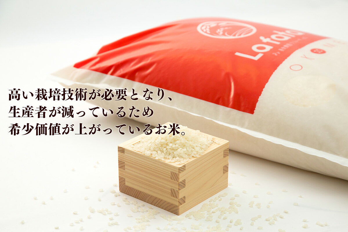 【ふるさと納税】至極の一杯　こだわりのお米　ササニシキ10kgが大人気返礼品になっている理由とは　ふるさと納税　人気　返礼品　ランキング