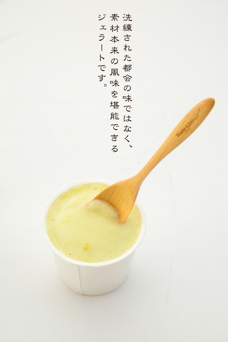 【ふるさと納税】ナチュリノの自然派手づくりジェラート 当店自慢の6種が大人気返礼品になっている理由とは　ふるさと納税　人気　返礼品　ランキング