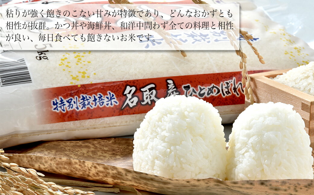 【ふるさと納税】【 令和2年度産米 】 名取産 特別栽培米 ひとめぼれ 20kg(5kg×4)