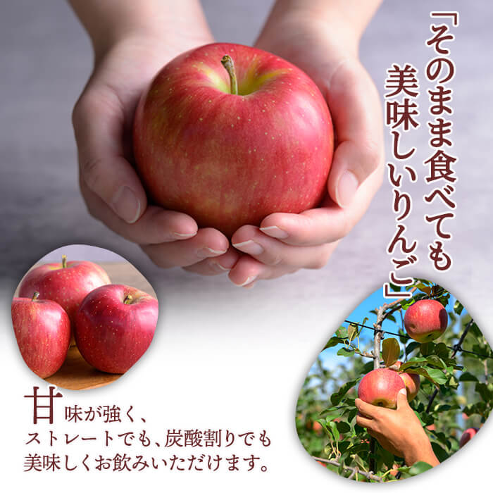 宮城県登米市の画像3