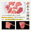 宮城県登米市の画像3