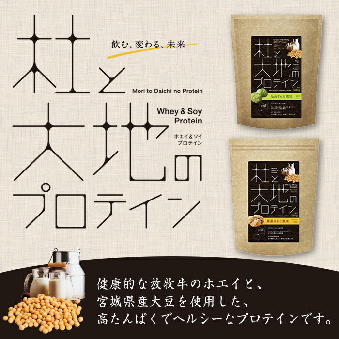【ふるさと納税】杜と大地のプロテイン 2種セット (2種×各500g) ＜仙台ずんだ風味・黒蜜きなこ風味＞ トレーニング 筋トレ タンパク質 常温 水分補給 ドリンク ジム 国内製造 加工食品 【UGOQ株式会社】 tm333