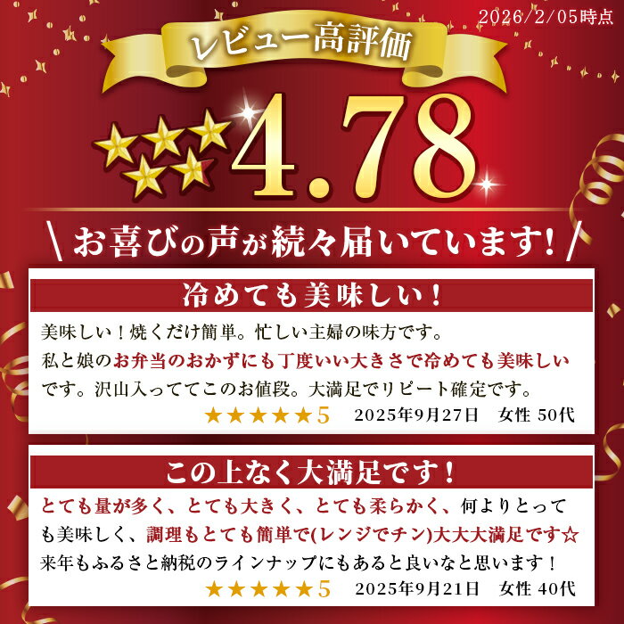 【ふるさと納税】レンジ で 温めるだけ ！業務用 ハンバーグ 国内製造 選べるサイズ！ 合計1kg〜1.2kg (40g×25個・60g×20個・120g×10個) レンジ調理 温めるだけ 冷凍 肉 お肉 お弁当 惣菜 おかず【株式会社オサベフーズ】tm379・tm380・tm381
