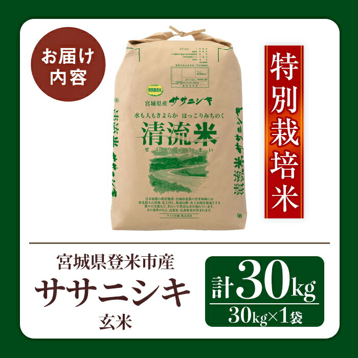 【ふるさと納税】＜令和7年度産＞特別栽培米 ササニシキ 玄米 30kg 宮城県登米市産...