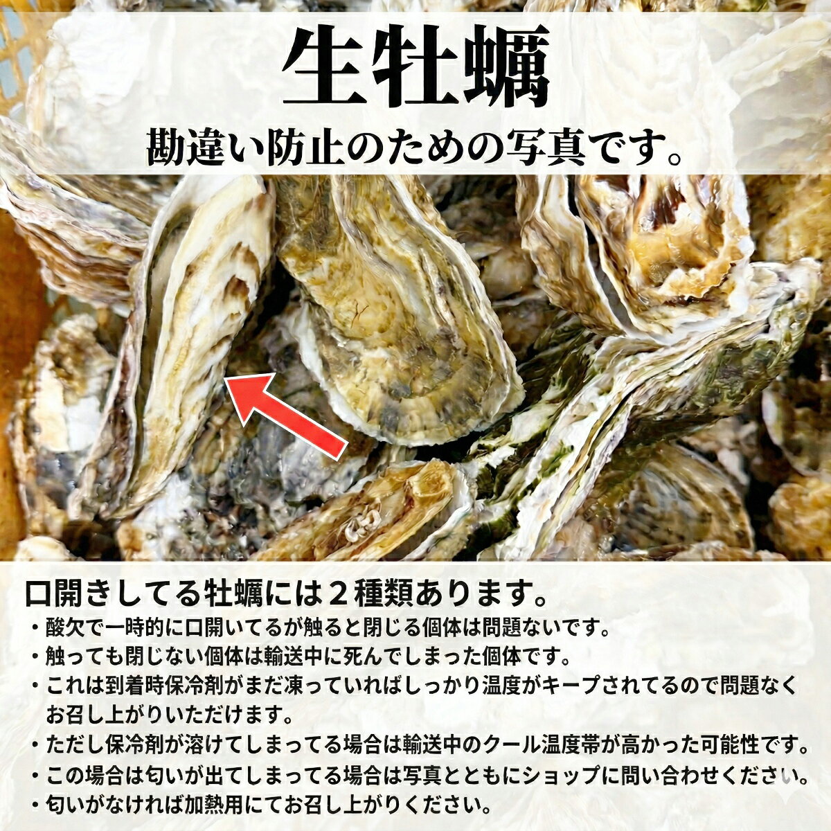 【ふるさと納税】松島牡蠣屋 殻付き牡蠣（生食用）選べる内容量 1～13kg 生牡蠣 宮城県産 牡蛎 牡蠣 カキ オイスター カキフライ 牡蠣鍋 海鮮 国産 魚貝類【菊地水産合同会社】tm744・tm745・tm746・tm747・tm748
