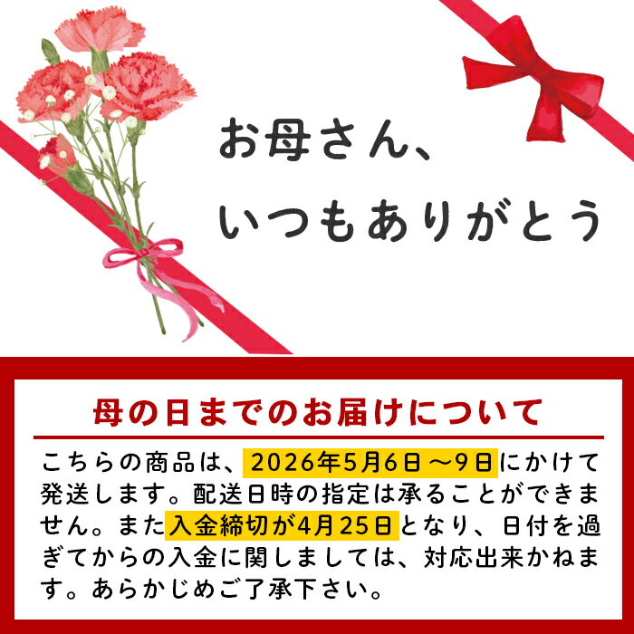 【ふるさと納税】＜先行予約受付中！2026年5月6日～9日に順次発送予定＞＜母の日ギフト＞柴田ポットカーネーション (複色系・5号鉢) 2026年5月10日 母の日 プレゼント ギフト 花 鉢植え プレゼント フラワーセット 【しばたの未来株式会社】 sh017-C