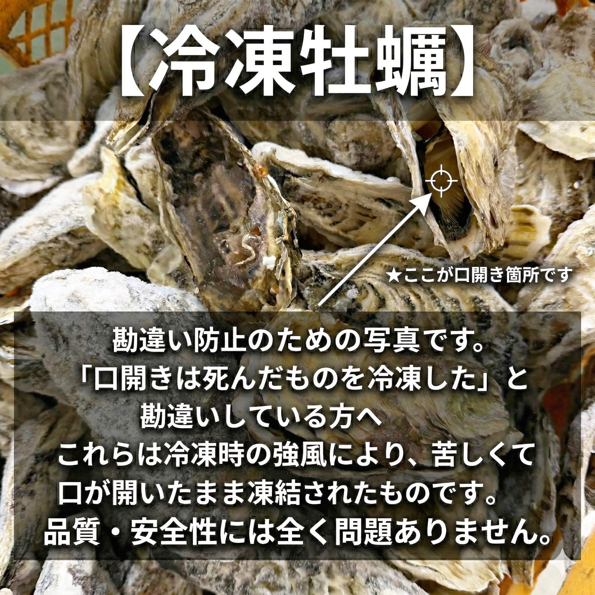 【ふるさと納税】松島牡蠣屋 冷凍牡蠣（生食用）選べる内容量 1～13kg 生牡蠣 宮城県産 牡蛎 牡蠣 カキ オイスター カキフライ 牡蠣鍋 海鮮 国産 魚貝類 急速冷凍【菊地水産合同会社】sh156・sh157・sh158・sh159・sh160