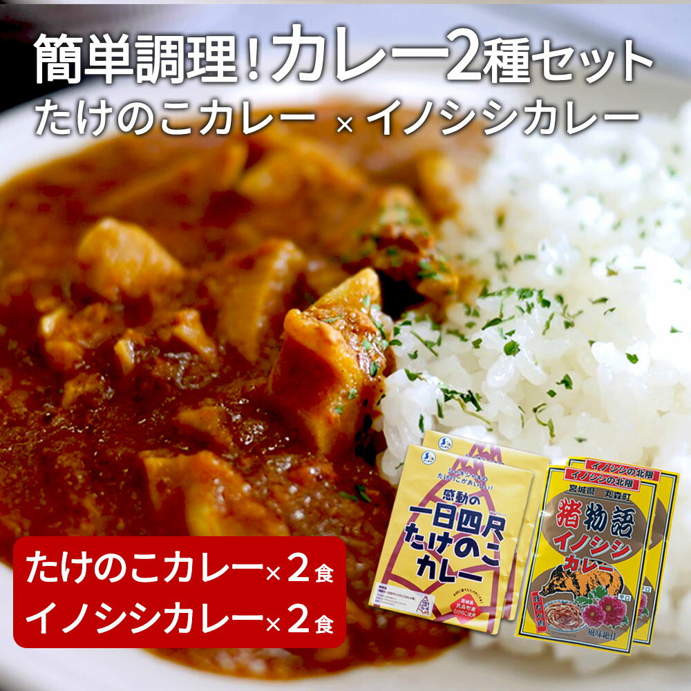 たけのこカレー 2個 いのししカレー 2個｜丸森自慢のたけのこ 具材ゴロゴロ レトルト食品 パウチ 手軽 筍 ご飯 人気 簡単 常温保存