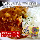 6位! 口コミ数「0件」評価「0」たけのこカレー 2個 いのししカレー 2個｜丸森自慢のたけのこ 具材ゴロゴロ レトルト食品 パウチ 手軽 筍 ご飯 人気 簡単 常温保存