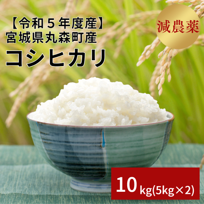 ＜数量限定＞令和5年度産 コシヒカリ 10kg(5kg×2) 10月下旬～11月発送予定 新米 丸森町産 米 精米 減農薬 お取り寄せグルメ 送料無料