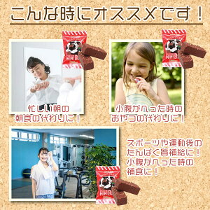 【ふるさと納税】 プロテインバー 2種 48本入り セット チョコ ホワイトチョコ ＼手作りの美味しさ／ 手軽に たんぱく質 を 摂取できる 健康的 な 低糖質 おやつ 置き換え 軽食 プロテイン バー ハイクリアー お菓子 デザート ソイ 大豆