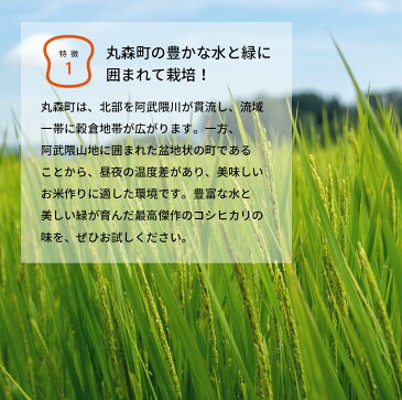 【ふるさと納税】令和2年度産 コシヒカリ 2kg×6カ月(合計12kg) 定期便 ブランド 米「いざ初陣」| 旨味と甘みが特徴 精米 減農薬 一人暮らし お手頃 お取り寄せグルメ 送料無料