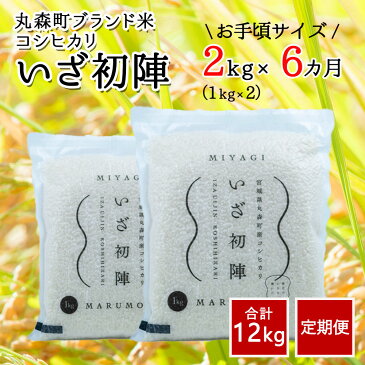 【ふるさと納税】令和2年度産 コシヒカリ 2kg×6カ月(合計12kg) 定期便 ブランド 米「いざ初陣」| 旨味と甘みが特徴 精米 減農薬 一人暮らし お手頃 お取り寄せグルメ 送料無料