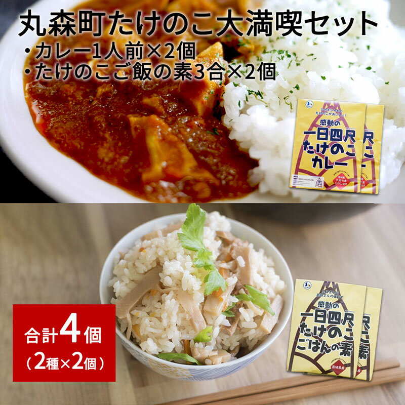 3位! 口コミ数「0件」評価「0」たけのこカレー1人前×2個 たけのこごはんの素3合×2個 合計4個セット｜丸森自慢のたけのこ 具材ゴロゴロ レトルト食品 パウチ 炊き込みご･･･ 