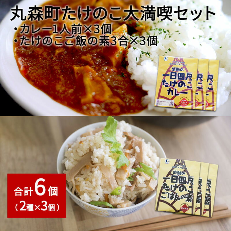 43位! 口コミ数「0件」評価「0」たけのこカレー1人前×3個 たけのこごはんの素3合×3個 合計6個セット｜丸森自慢のたけのこ 具材ゴロゴロ レトルト食品 パウチ 炊き込みご･･･ 