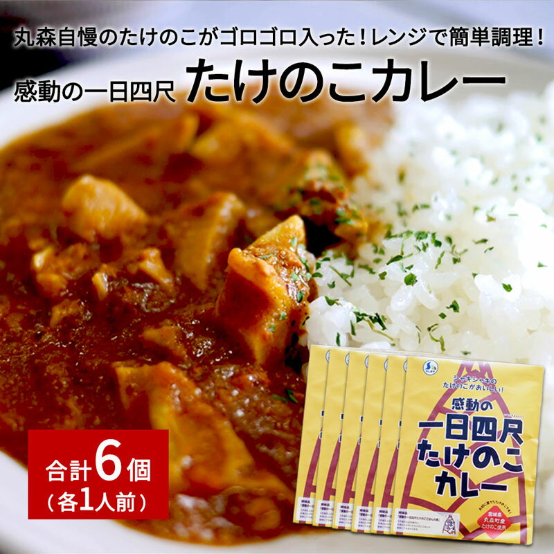 【ふるさと納税】たけのこカレー1人前×6個セット｜丸森自慢のたけのこ 具材ゴロゴロ レトルト食品 パウチ 手軽 筍 ご飯 人気 簡単 常温保存のサムネイル