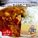 たけのこカレー1人前×6個セット｜丸森自慢のたけのこ 具材ゴロゴロ レトルト食品 パウチ 手軽 筍 ご飯 人気 簡単 常温保存