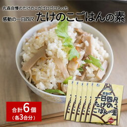 【ふるさと納税】たけのこごはんの素3合×6個セット｜丸森自慢のたけのこ 具材ゴロゴロ パウチ 炊き込みご飯 炊込み 手軽 筍 ご飯 人気 簡単 常温保存