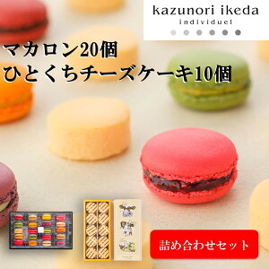 【ふるさと納税】マカロン好き必見！kazunori ikeda individuel マカロン 20種類 20個入り ひとくち濃厚チーズケーキ 10個入り