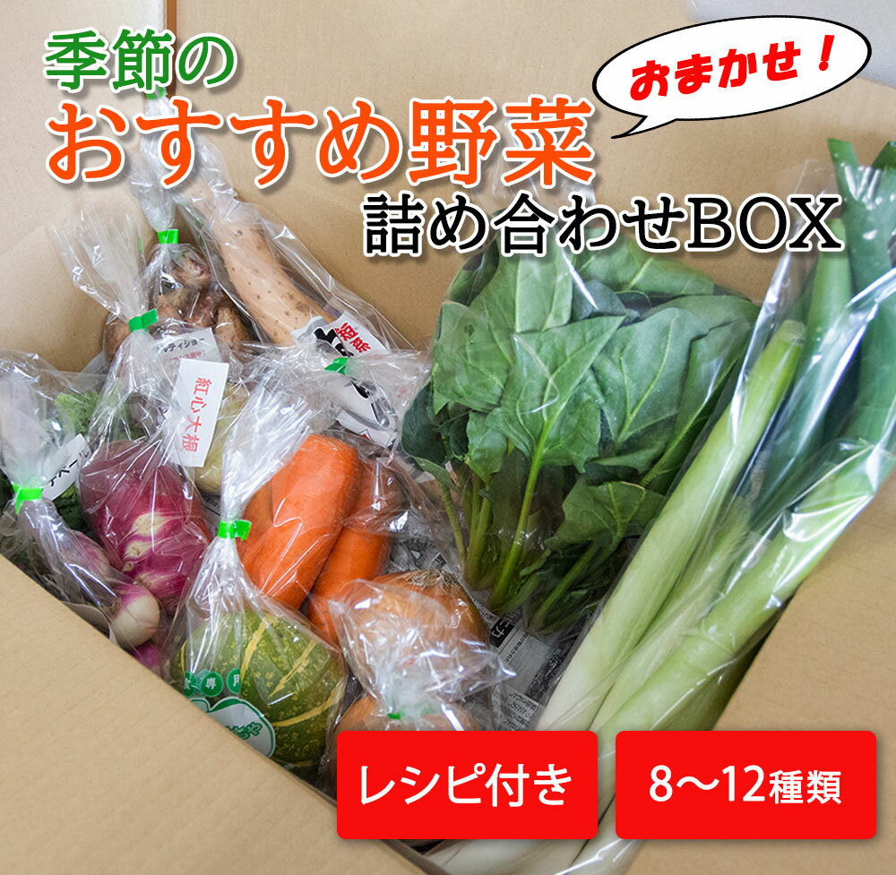 7位! 口コミ数「2件」評価「5」季節のおすすめ野菜おまかせ詰め合わせBOX 8種～12種類 通常サイズ 野菜セット 送料無料｜野菜 1万円 まとめ買い おまかせ 詰め合わせ･･･ 