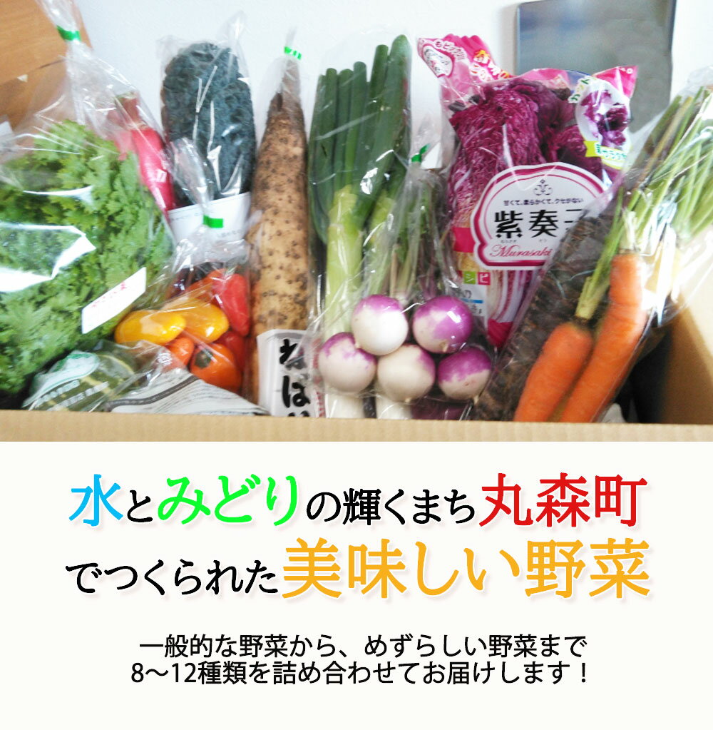 【ふるさと納税】季節のおすすめ野菜おまかせ詰め合わせBOX 8種～12種類 通常サイズ 野菜セット 送料無料｜野菜 1万円 まとめ買い おまかせ 詰め合わせ 直送 バーベキュー