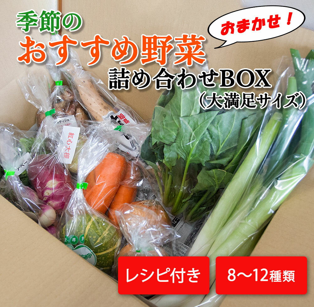 季節のおすすめ野菜おまかせ詰め合わせBOX 8種〜12種類 大満足サイズ|野菜 まとめ買い おまかせ 詰め合わせ 直送 バーベキュー