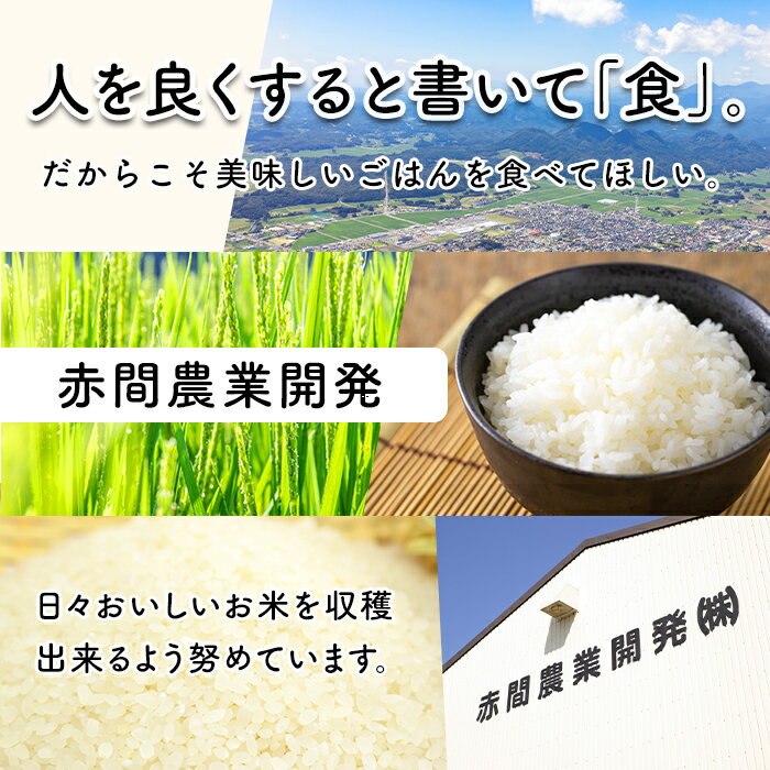 【ふるさと納税】玄米 金のいぶき 自宅用（5合×5袋）各750g 小分け お米 おこめ 米 コメ 玄米 ご飯 ごはん おにぎり お弁当【赤間農業開発】ta311