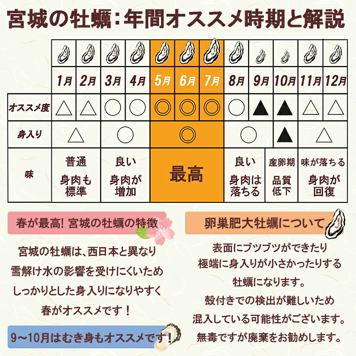 【ふるさと納税】松島牡蠣屋 殻付き牡蠣（生食用）選べる内容量 1～13kg 生牡蠣 宮城県産 牡蛎 牡蠣 カキ オイスター カキフライ 牡蠣鍋 海鮮 国産 魚貝類【菊地水産合同会社】ta620・ta621・ta622・ta623・ta624 f044211-taiwa-10000578 宮城県大和町 サンプル画像3