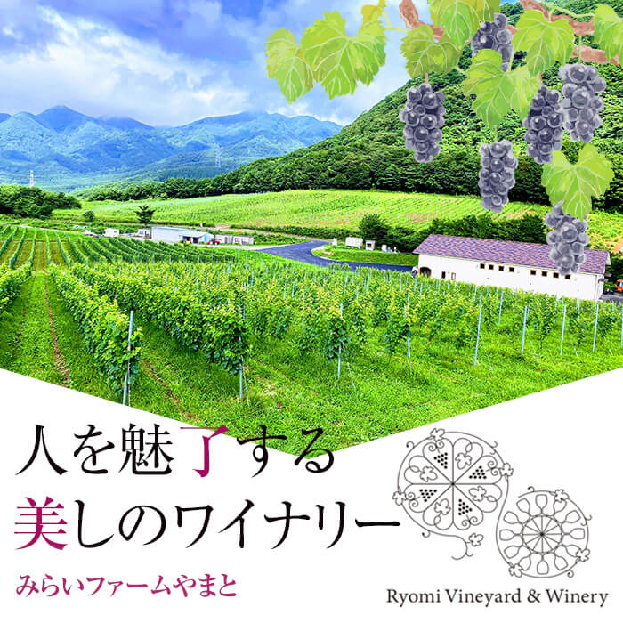 【ふるさと納税】ガーリックオイルとおつまみのセット 熟成黒にんにく ニンニク ラスク お菓子 調味料 ワイン おつまみ ギフト セット みらいファームやまと【了美ワイナリー】ta201