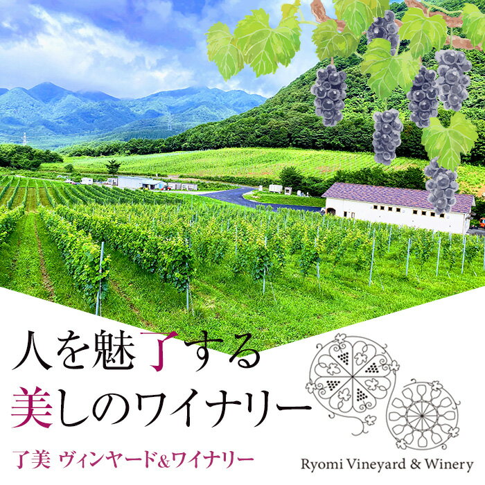 【ふるさと納税】自社葡萄を使用したワイン2本 赤ワイン 白ワイン 飲み比べ アルコール 数量限定 ギフト ワインセット 宮城県産 みらいファームやまと【了美ワイナリー】ta202