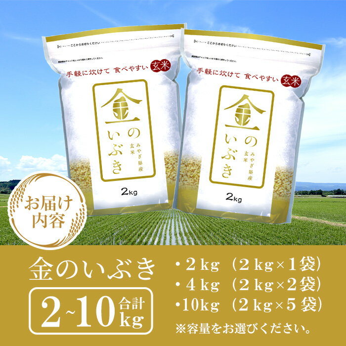 【ふるさと納税】＜令和4年産＞宮城県産 金のいぶき 2kg～10kg 選べる容量 玄米 お米 おこめ 米 コメ ご飯 ごはん おにぎり お弁当 ブランド米 宮城米 2kg 4kg 10kg【パールライス宮城】ta391・ta392・ta393