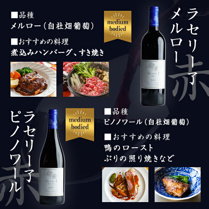 【ふるさと納税】≪ワイン福袋≫自社葡萄を使用したワインセット 750ml×5本 赤ワイン 白ワイン メルロー ピノノワール シャルドネ ソーヴィニヨンブラン モンドブリエ ミディアムボディ 辛口 ぶどう ブドウ アルコール みらいファームやまと【了美ワイナリー】ta594