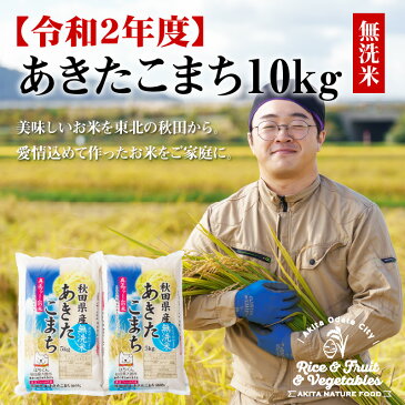 【ふるさと納税】60P9204 【令和2年産】秋田県産あきたこまち(無洗米)10kg(5kg×2袋)