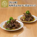 【ふるさと納税】馬肉煮込み＆すじ煮込みセット　馬肉煮込み、すじ煮込み各450g 煮物/低脂肪/ヘルシー/高タンパク/おつまみ 送料無料 60P2902 【忠犬ハチ公と秋田犬のふるさと大館市】